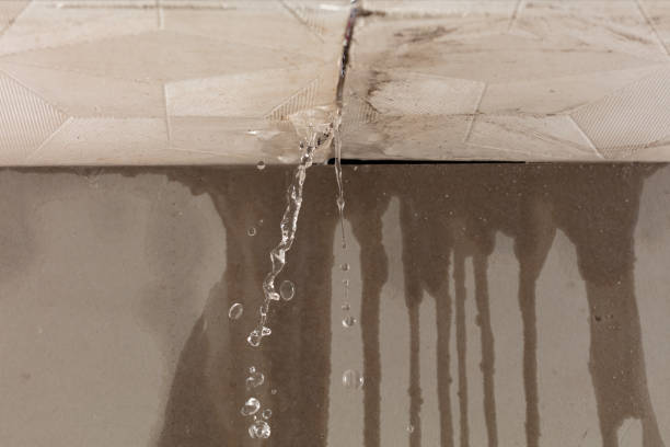 Professional Water Extraction technician working in Malo, WA